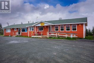 Commercial/Retail Property for Sale, 546 Salmonier Line, Holyrood, NL
