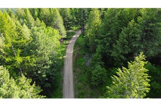 Land for Sale, Lot 1827s Morrissey Creek Rd, Grand Forks, BC