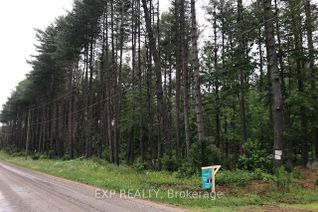 Property for Sale, 196 James Camp Rd, Ryerson, ON