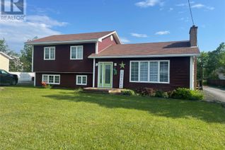 House for Sale, 548 Main Street, Bishop's Falls, NL