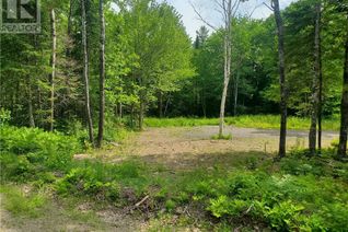 Land for Sale, Lot 58 Hughes Street, Noonan, NB