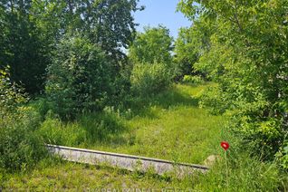 Vacant Residential Land for Sale, 732 Chestnut St, Innisfil, ON