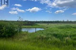 Land for Sale, Rge Rd 100, Rural Saddle Hills County, AB