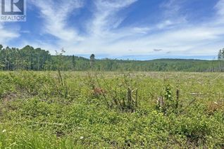 Commercial Land for Sale, Part 1 Larson Road, Neebing, ON