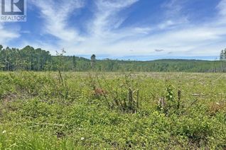 Land for Sale, Part 1 Larson Road, Neebing, ON