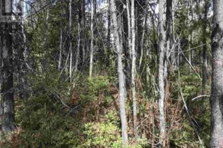 Land for Sale, Lot 10 Chief Lake Road, Prince George, BC