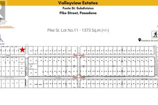 Commercial Land for Sale, 11 Pike Street, Pasadena, NL