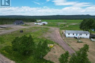 Commercial Farm for Sale, 20 Forest Road, Northern Arm, NL