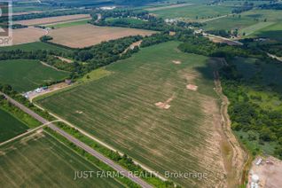 Commercial Farm for Sale, 13181 Railroad Line, Chatham-Kent, ON
