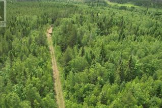 Commercial Land for Sale, Cove Road, Little River, NS
