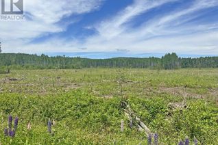 Land for Sale, Part 3 Larson Road, Neebing, ON