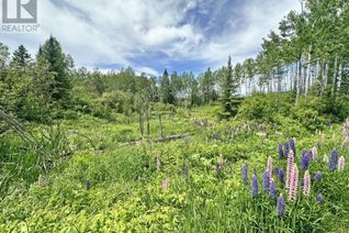 Land for Sale, Part 4 Larson Road, Neebing, ON