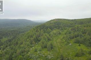 Land for Sale, 0 Mill Road, Colliers, NL