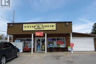 Variety Store Non-Franchise Business for Sale, 403 Seacliff Drive, Leamington, ON