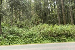 Land for Sale, 9244 Manzer Street, Mission, BC