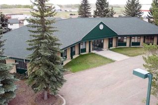 Commercial/Retail Property for Sale, 4510 50 Street S, Sedgewick, AB