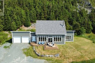 House for Sale, 62 Back Road, Tors Cove, NL