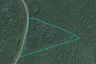 Commercial Land for Sale, Lot Beersville Back Road, Beersville, NB