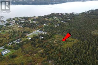Property for Sale, 16 Salmon Cove Road, South River, NL