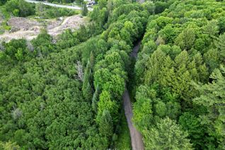 Vacant Residential Land for Sale, 0 Ransley Rd, Minden Hills, ON