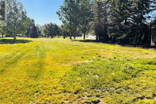 Commercial Land for Sale, 10 Golf View Drive, Bow Island, AB