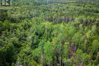 Commercial Land for Sale, Lot 2-Cd Renfrew Road, Nine Mile River, NS