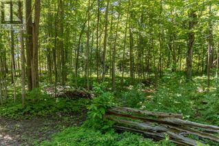 Land for Sale, 15 -Tbd Post Road, Centre Hastings, ON