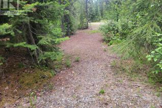 Land for Sale, 2567 Gardner Street, Wells / Barkerville, BC