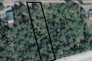 Commercial Land for Sale, Lot B Columbia Drive, Anglemont, BC