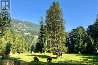 Land for Sale, 5051 Paradise Valley Road, Squamish, BC