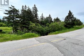 Commercial Land for Sale, 452 Main Road, Searston, NL