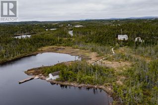 Detached House for Sale, A176 Vineland Road, Salmonier, NL