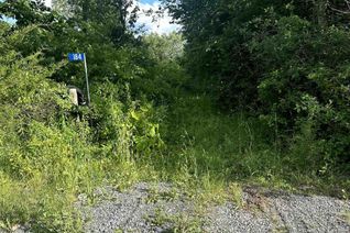 Commercial Land for Sale, 184 Upper Slash Road, Tyendinaga, ON