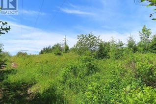 Property for Sale, Lot 2 Old Trunk 4 Highway, Soldiers Cove, NS Property for Sale, Lot 2 Old Trunk 4 Highway, Soldiers Cove, NS