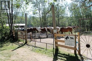 Business for Sale, Kenosee Drive, Moose Mountain Provincial Park, SK