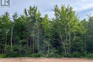 Land for Sale, Lot 24-07 Maefield St, Lower Coverdale, NB