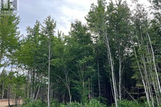 Land for Sale, Lot 24-03 Maefield St, Lower Coverdale, NB