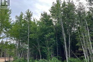 Land for Sale, Lot 24-03 Maefield Street, Lower Coverdale, NB