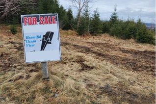 Commercial Land for Sale, 111 Point Road, Chapel's Cove, NL