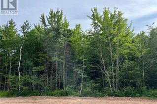 Land for Sale, Lot 24-09 Maefield Street, Lower Coverdale, NB