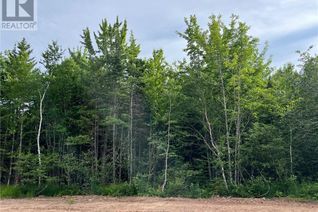 Land for Sale, Lot 24-16 Maefield Street, Lower Coverdale, NB