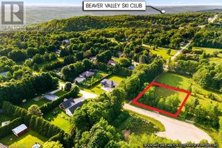 Commercial Land for Sale, 185 Raglan Street, Eugenia, ON