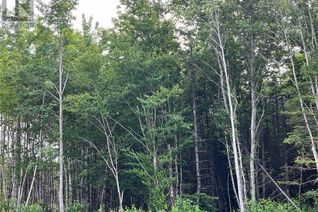 Vacant Residential Land for Sale, Lot 24-25 Kingsbury Crt, Lower Coverdale, NB