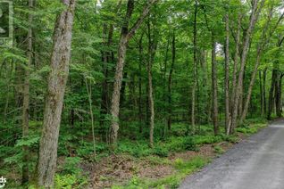 Commercial Land for Sale, 262 East Fox Lake Road, Huntsville, ON