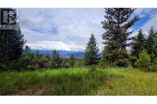 Vacant Residential Land for Sale, Lot 3 Bullmoose Trail, Osoyoos, BC