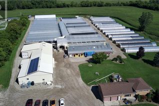 Farm for Sale, 3862 Trafalgar Street, London, ON