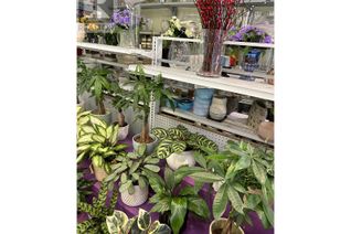 Florist/Gifts Non-Franchise Business for Sale