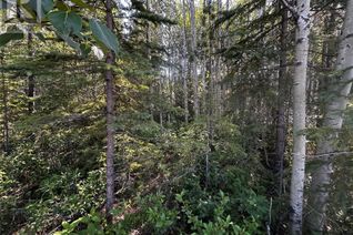 Commercial Land for Sale, 160 Murray Drive, Tumbler Ridge, BC