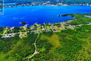 Commercial Land for Sale, 180-192a Road To The Isles Other, Lewisporte, NL