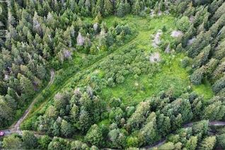 Land for Sale, 325 Corporal Jamie Murphy Drive, Conception Harbour, NL